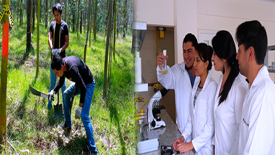 Environmental Sciences Research Group