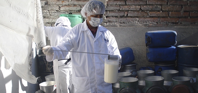 Centro de producción de la leche en Cayambe