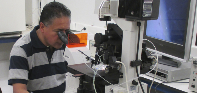 Dr. Patricio Garnica utilizando un microscopio de uno de los laboratorios.