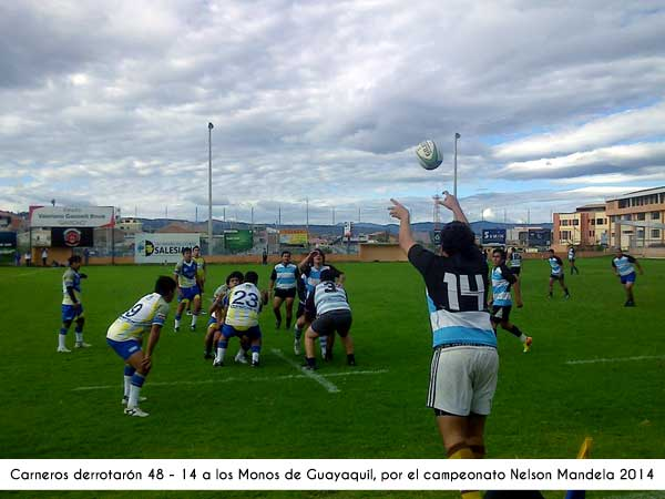 CUENCA: Carneros siguen en racha ganadora en el nacional rugby