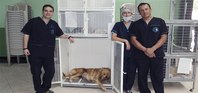 Profesores de la UPS y miembros del Grupo de Investigación GlobalGen que coordinaron y dirigieron las campañas de esterilización: (de izq.) Carlos Mínguez, Mónica Brito y Juan Masache