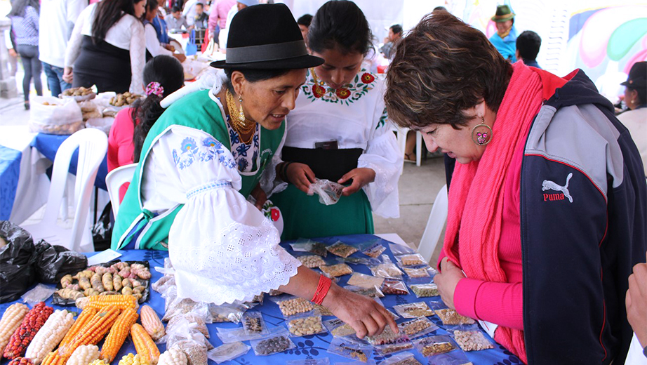 Exhibición de semillas de los productores de la finca agroecológica, comunidad La Esperanza de Pedro Moncayo