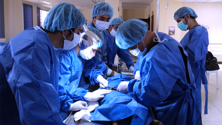 Alumnos de Veterinaria de la UPS realizando la esterilización de un perro