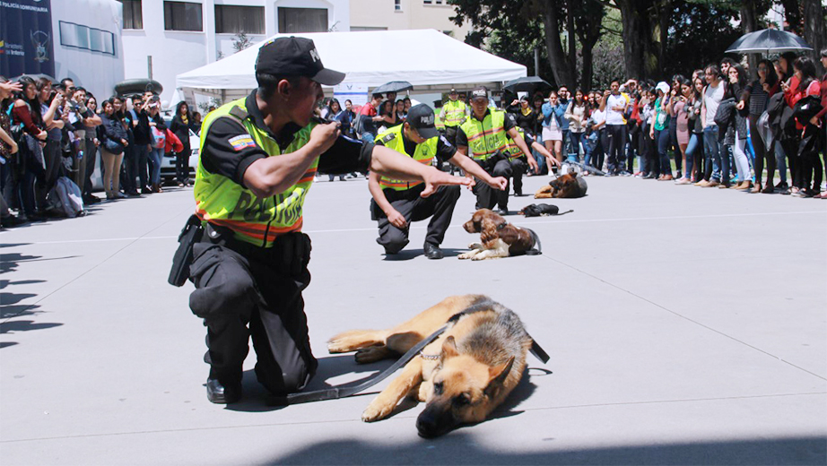 Presentación de los perros policía en la Plaza Don Bosco del campus El Girón