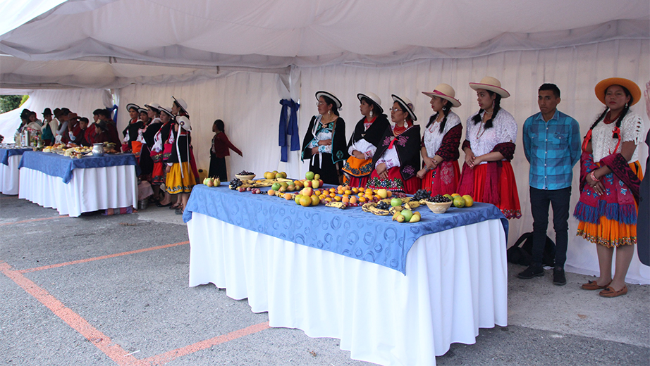 Exposición de stands con productos típicos de la cultura cañari