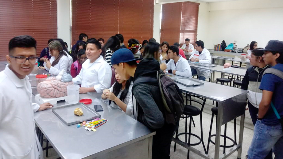 Acompañamiento en la materia de Psicofisiología General