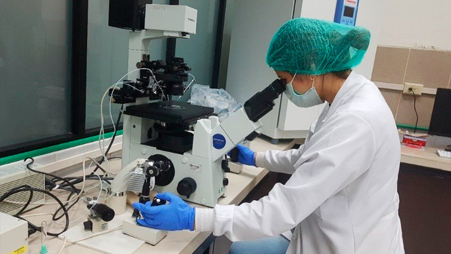 Estudiante durante sus prácticas con el nuevo  Microscopio invertido de Micro manipulación 