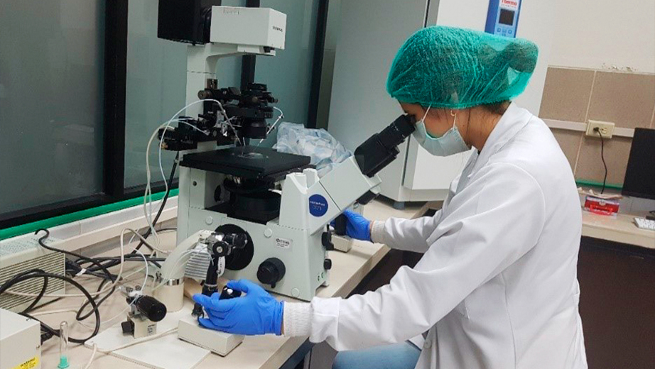 Estudiante durante sus prácticas con el nuevo Microscopio invertido de Micro manipulación