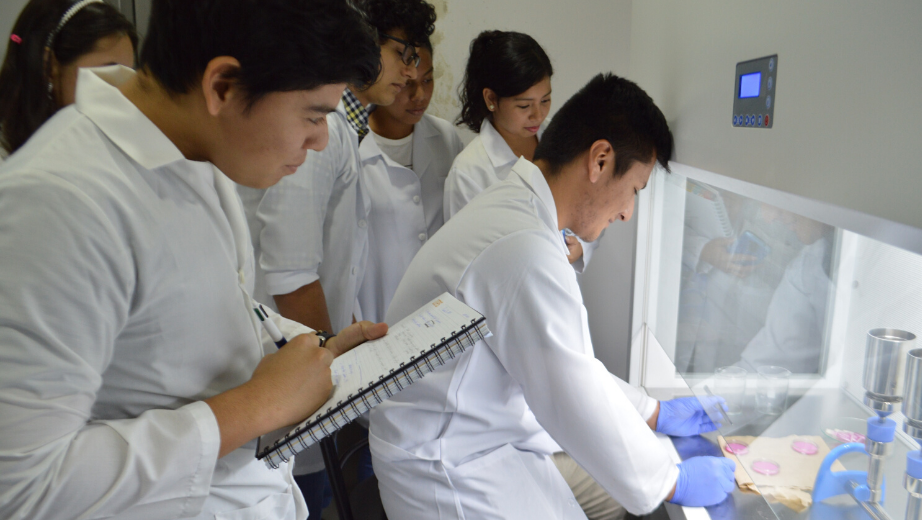 Prácticas en el laboratorio de microbiología