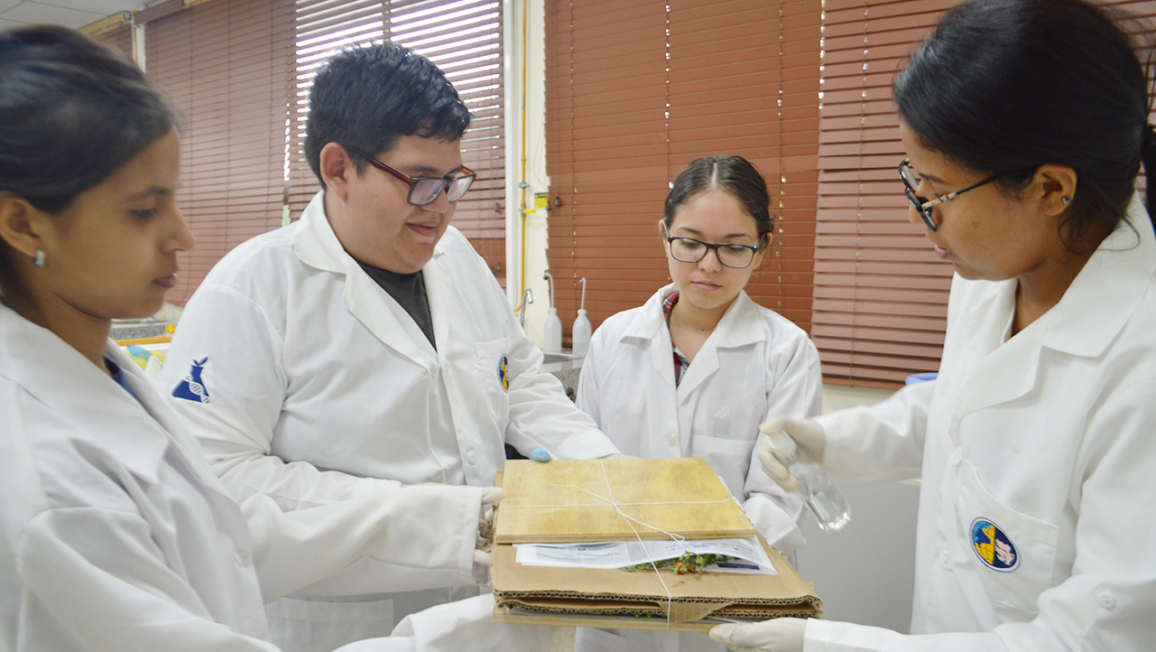 Estudiantes durante la preparación de las plantas para análisis