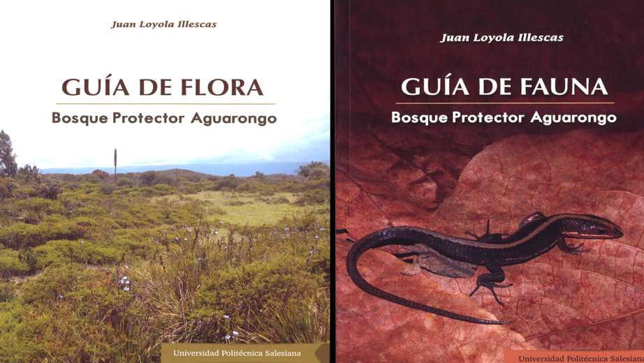 Portadas de los libros: