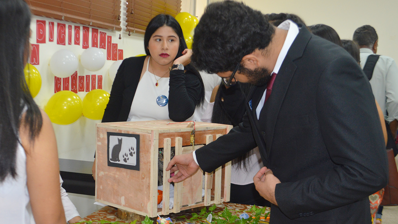 Exhibición de proyectos por parte de los estudiantes