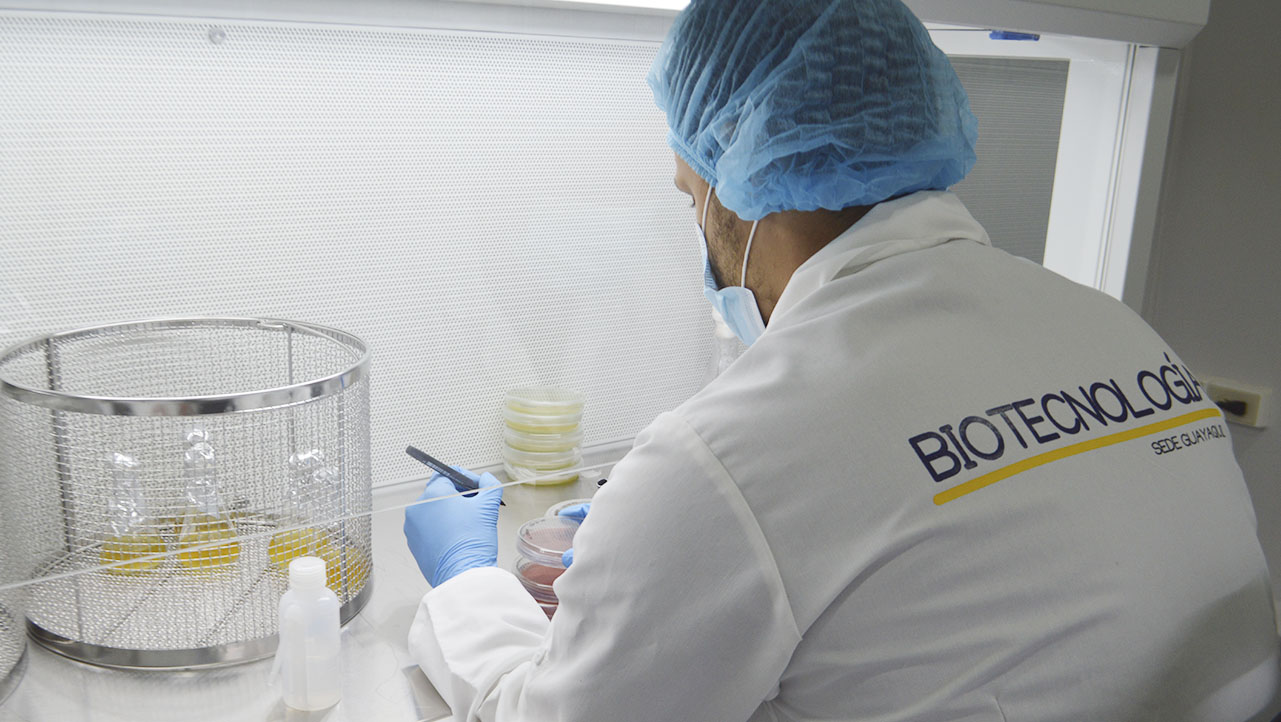 Docentes realizan un análisis de medios de cultivos y cepas de microorganismos