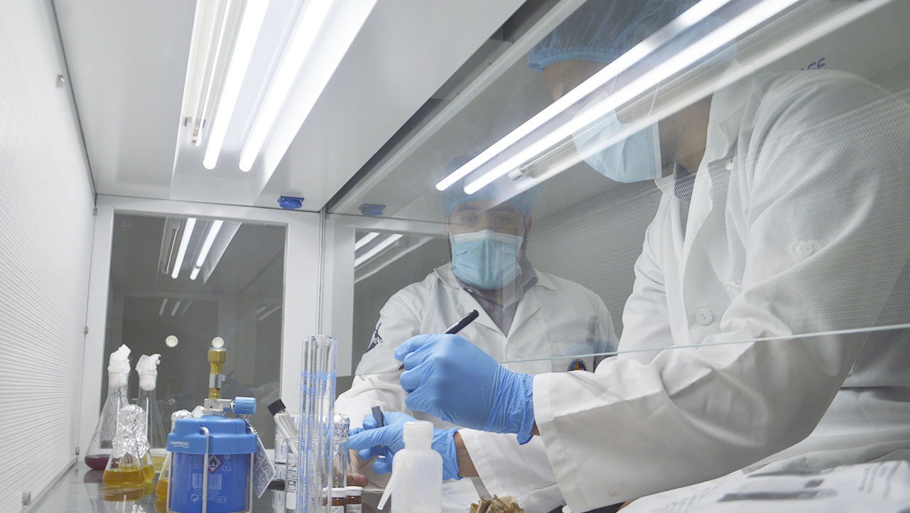 Uso de la cámara de flujo laminar