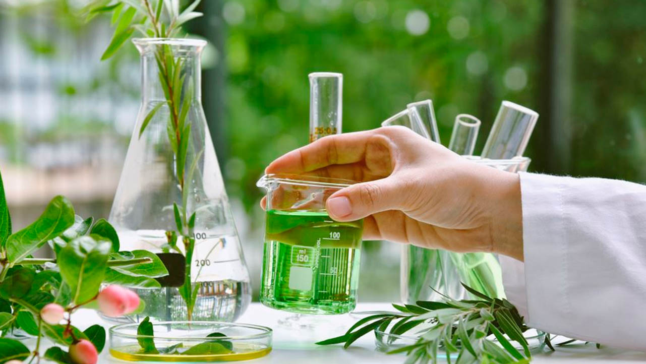Evaluaciones de bioactividad de productos naturales