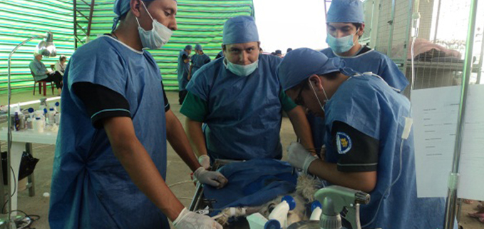 Estudiantes de veterinaria y zootecnia en la campaña de vacunación