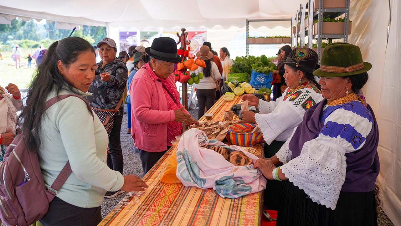 Mujeres productoras de la Casa Campesina de Cayambe exponen sus productos orgánicos y libres de pesticidas