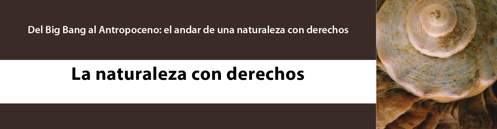 Portada del Libro Del Big Bang al Antropoceno. El andarde una naturaleza con derechos