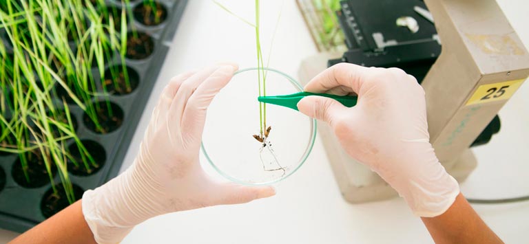 Herramientas de los laboratorios de Biotecnología Sede Guayaquil