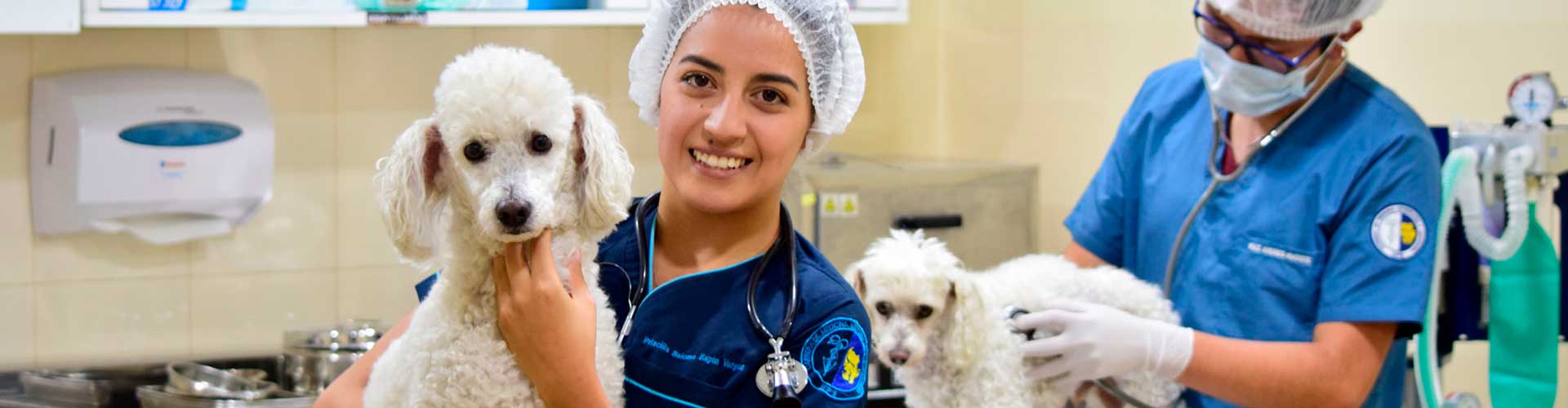 Banner de la Carrera de Medicina Veterinaria Sede Cuenca