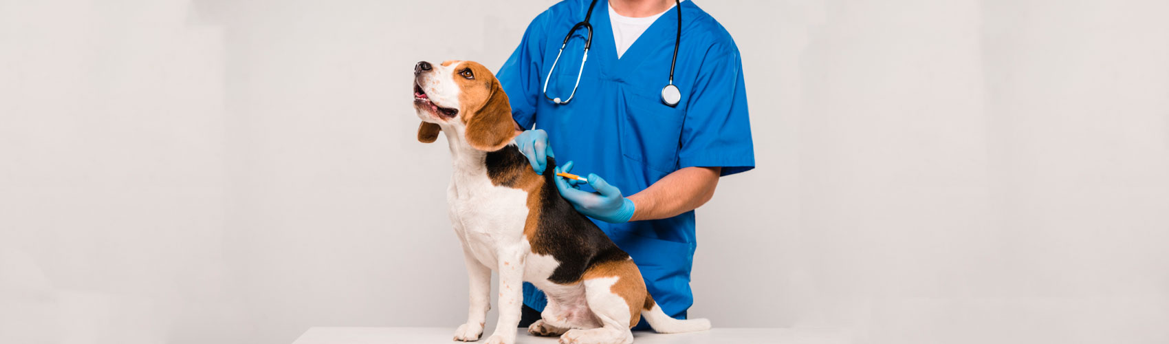 Banner de la Carrera de Medicina Veterinaria Cuenca