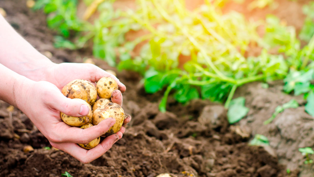 Meeting for agro ecology representatives